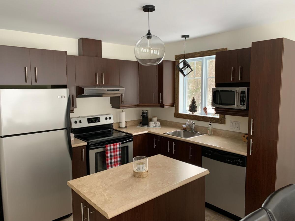 Condo Mont-Edouard 2 LʼAnse-Saint-Jean Dış mekan fotoğraf